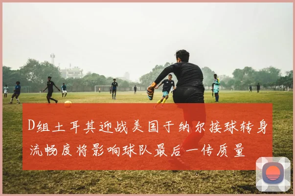 D组土耳其迎战美国于纳尔接球转身流畅度将影响球队最后一传质量