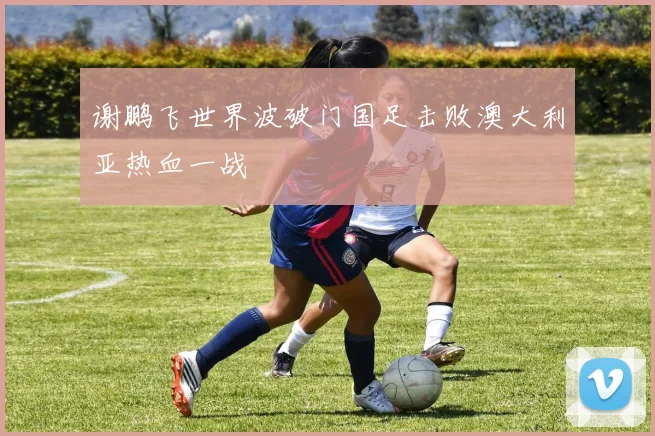谢鹏飞世界波破门国足击败澳大利亚热血一战