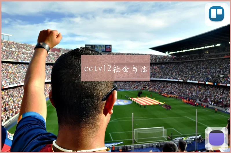 cctv12社会与法