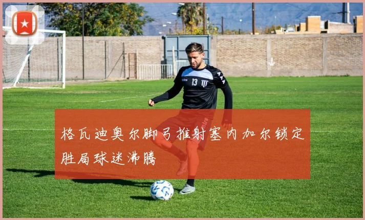 格瓦迪奥尔脚弓推射塞内加尔锁定胜局球迷沸腾