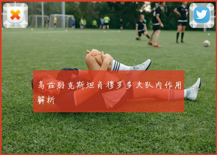 乌兹别克斯坦肖穆罗多夫队内作用解析